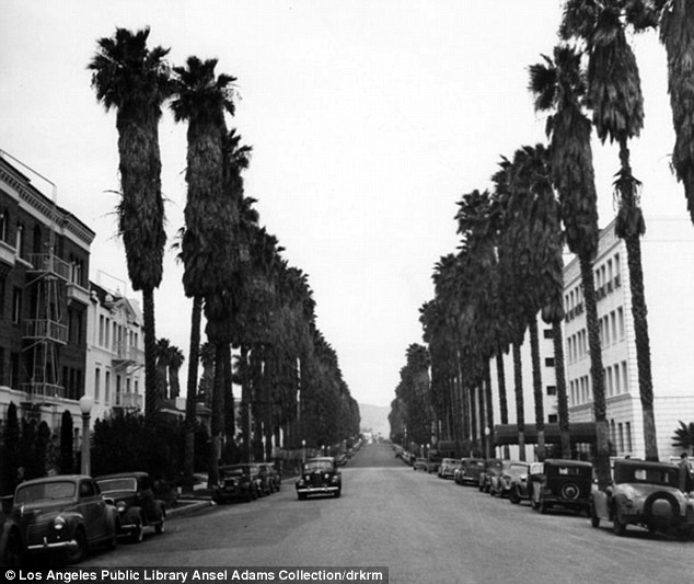 Los Angeles as photographed by Ansel Adams, circa 1940s. Image: Mail Online