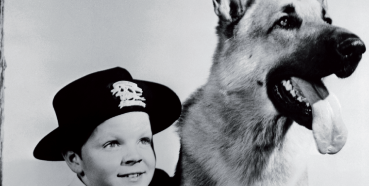 Television Rin Tin Tin