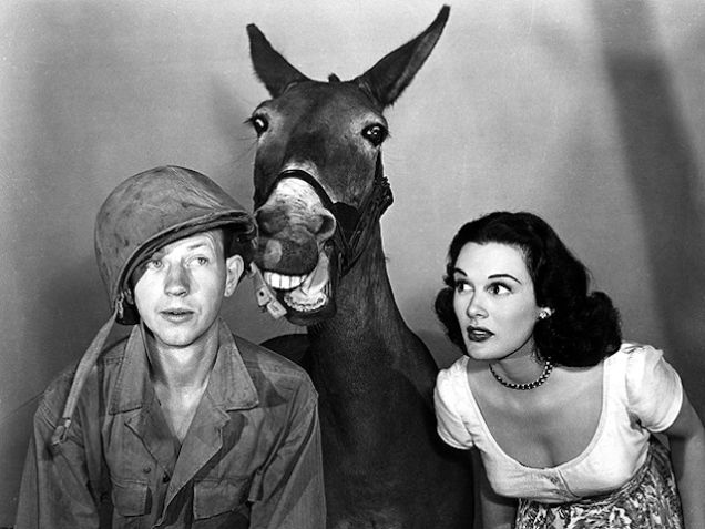 Francis (centre) mentors and belittles Donald O'Connor (left). Image: ldkjf 