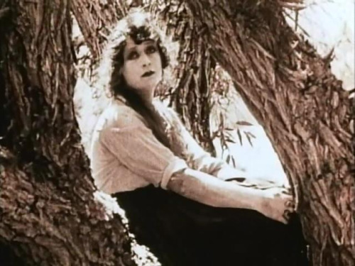 Back to God's Country