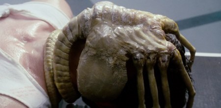 alien-facehugger