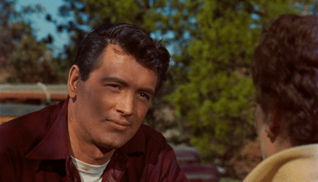 Rock Hudson All that Heaven Allows